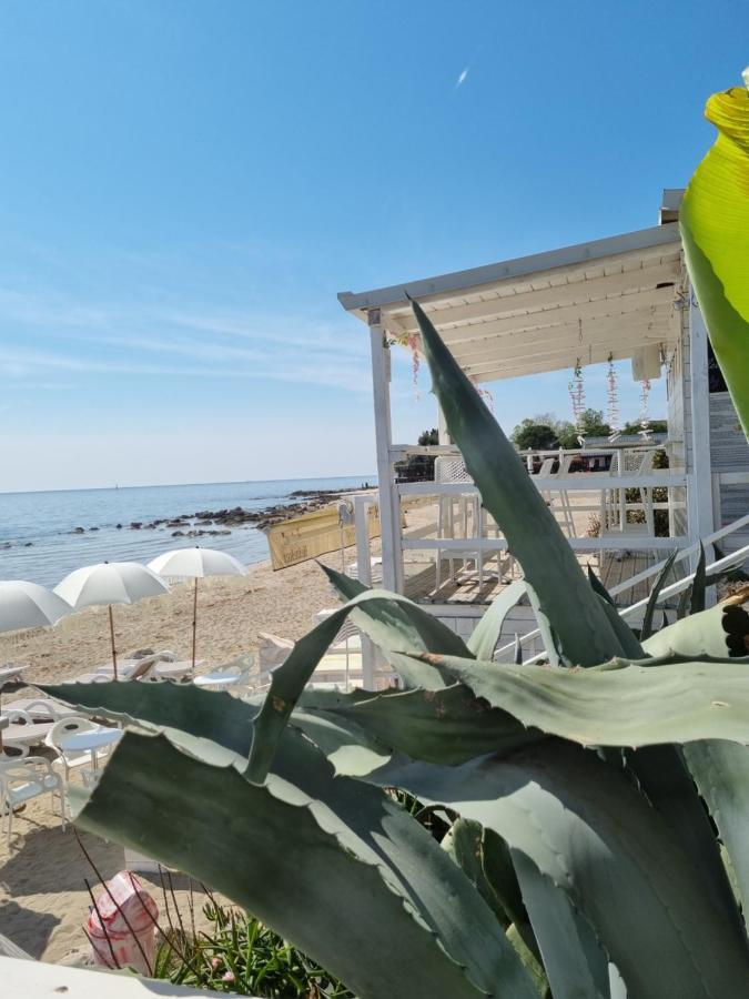 Sea View App Mirta Lejlighed Umag Eksteriør billede